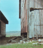 Bigfoot barn rescue 1